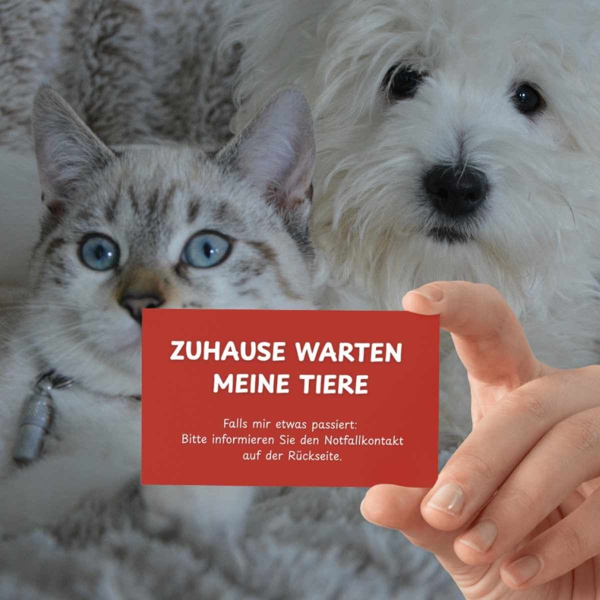 Notfallkarte „Zu Hause warten meine Tiere" – Produktbild