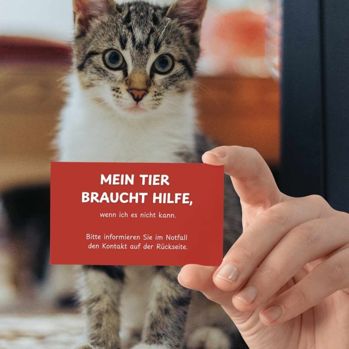 Notfallkarte „Mein Tier braucht Hilfe" – Produktbild