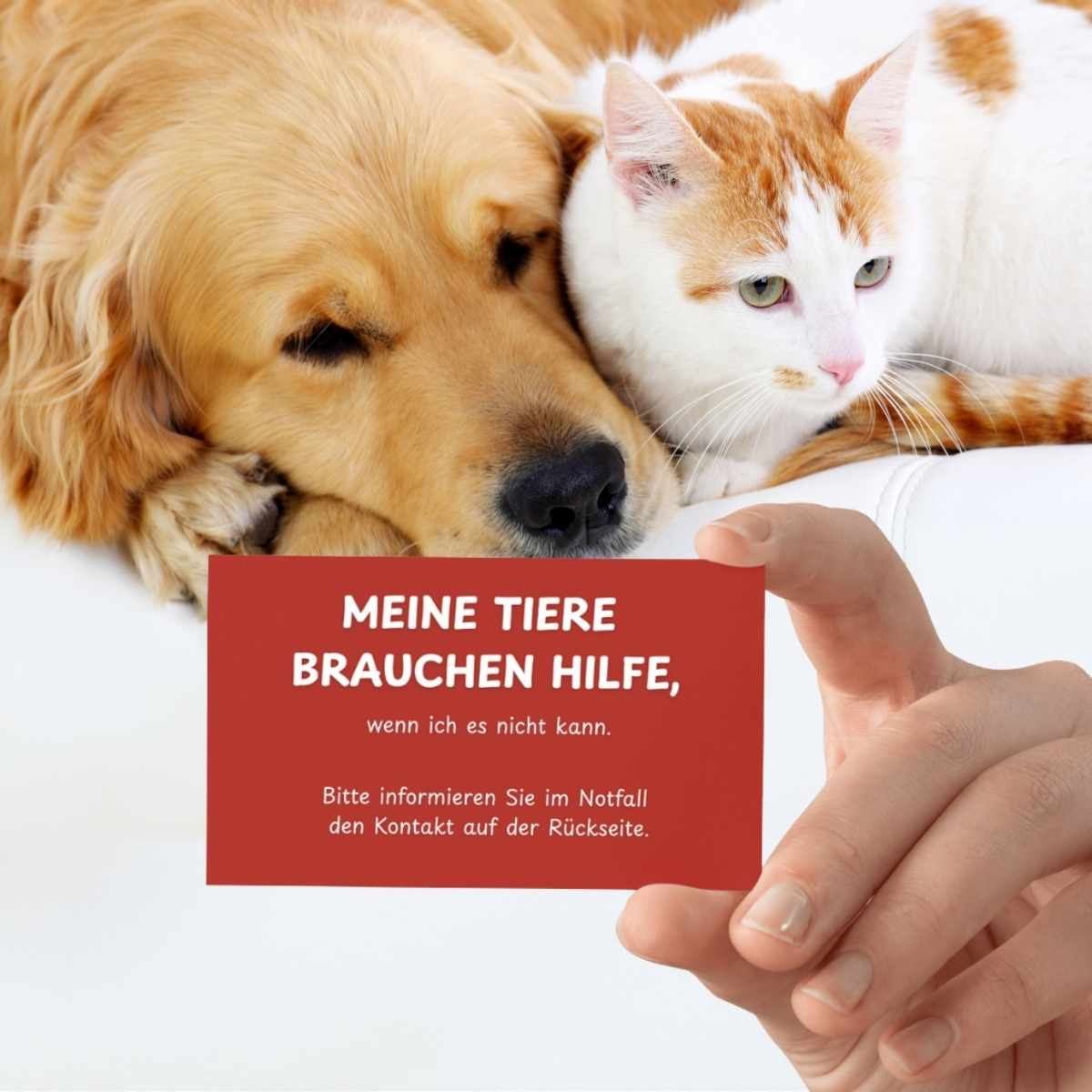Notfallkarte „Meine Tiere brauchen Hilfe" – Produktbild